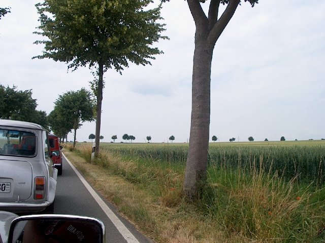 braunschweig2005_5.jpg