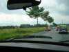 braunschweig2007_15_small.jpg