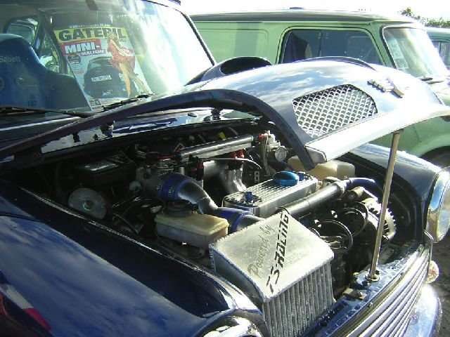 imm_den2007_15.jpg