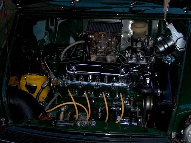 imm_den2007_33.jpg