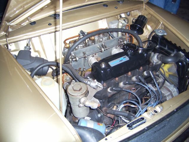 imm_den2007_54.jpg