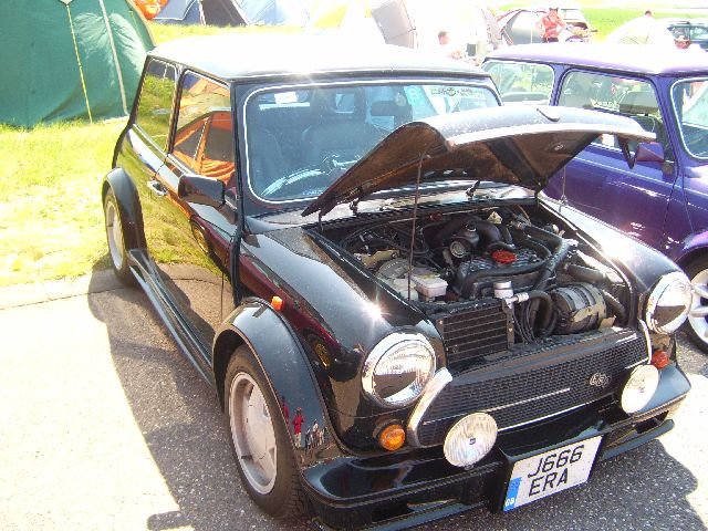 imm_hol2008_16.jpg