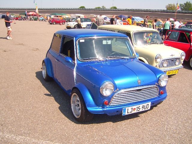 imm_hol2008_33.jpg