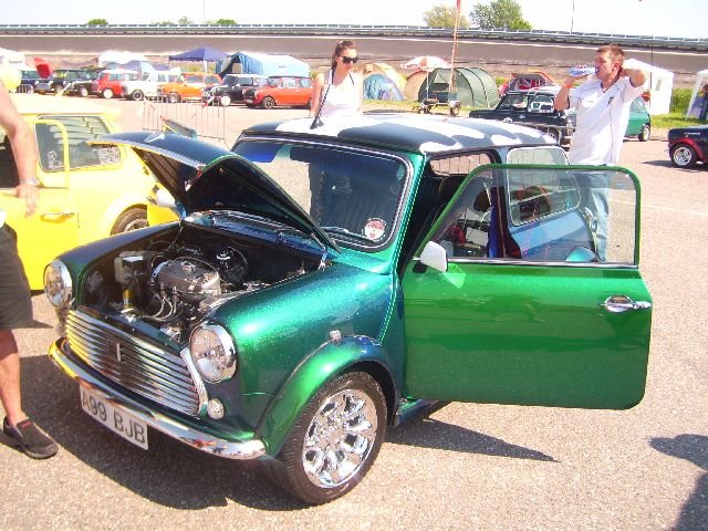 imm_hol2008_36.jpg