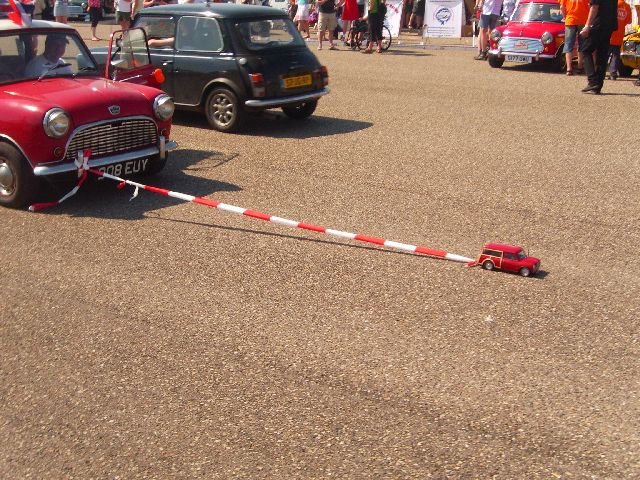 imm_hol2008_46.jpg