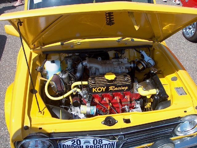 imm_hol2008_5.jpg