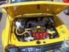 imm_hol2008_5_small.jpg